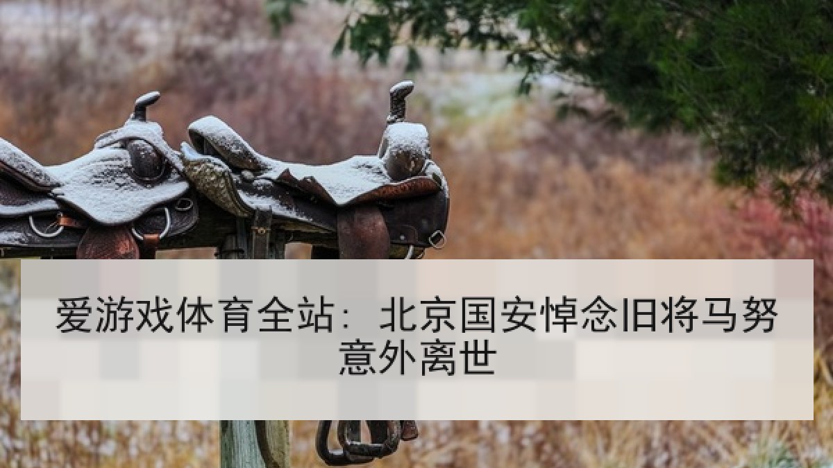 爱游戏体育全站: 北京国安悼念旧将马努意外离世 爱游戏体育全站: 北京国安悼念旧将马努意外离世