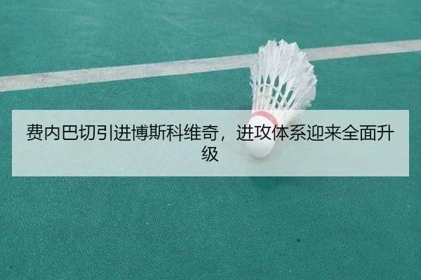 fei-nei-ba-qie-yin-jin-bo-si-ke-wei-qi-jin-gong-ti-xi-ying-lai-quan-mian-sheng-ji-3-502.jpg